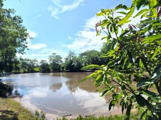 Terreno Vacacional en Venta Lagunas de Torremolinos - Image 9