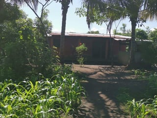 Terreno en Venta Km. 81 Masagua, antigua carretera a Puerto Quetzal - 3