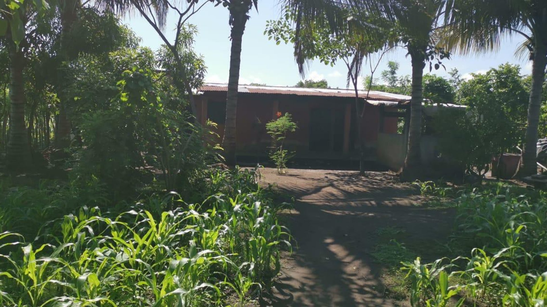 Terreno en Venta Km. 81 Masagua, antigua carretera a Puerto Quetzal - Miniatura 3