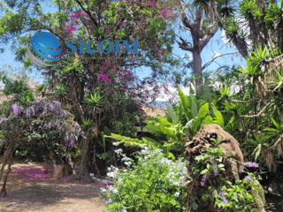 Finca for Sale in Antigua Guatemala - Image 9