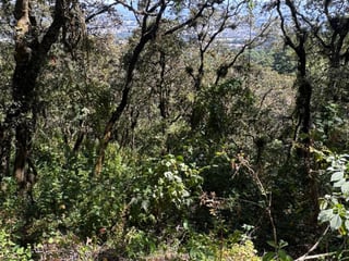 Terreno Residencial en Venta en Zona 1, Mixco, Guatemala - 2