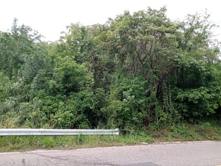 Terreno en Venta  en Sanarate, El Progreso - 5