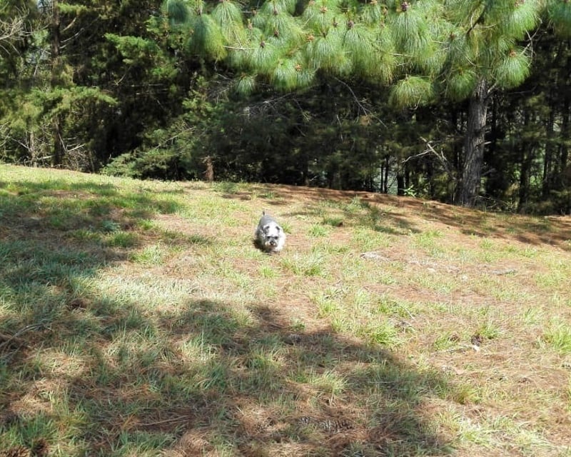 Terreno en venta Hacienda Nueva, CES