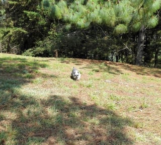 Terreno en venta Hacienda Nueva, CES