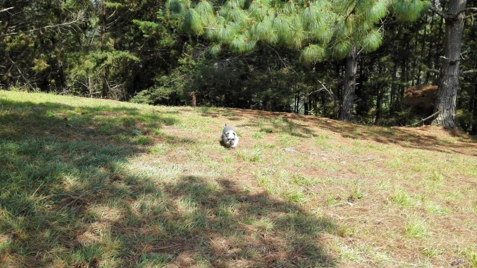 Terreno en venta Hacienda Nueva, CES