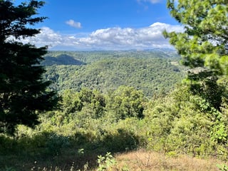 VENTA Finca Flor de Carmelo San José Pínula  - 5