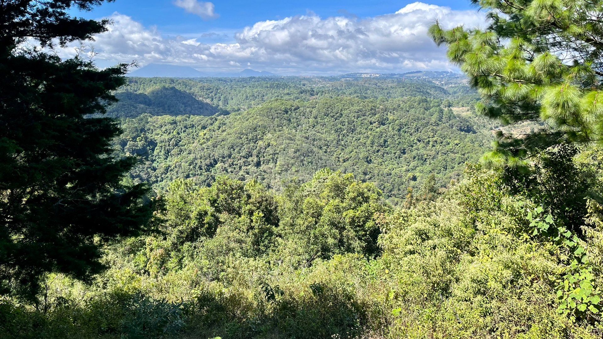 VENTA Finca Flor de Carmelo San José Pínula  - Miniatura 5