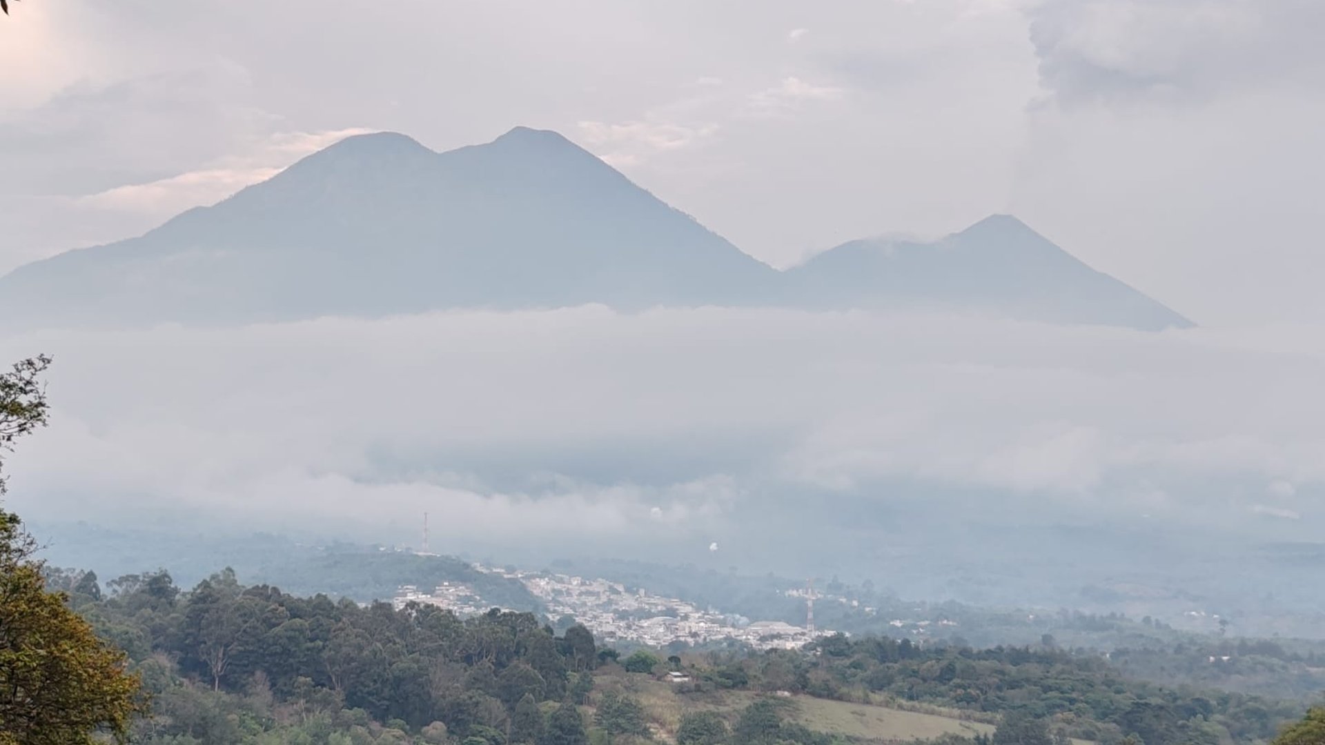 Finca cafetalera en venta 490 cuerdas Ref-4859 - Miniatura 6