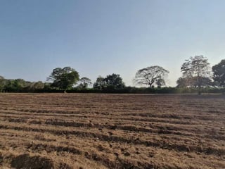 Terreno en Venta  Carretera Antigua Puerto  San José - Image 7