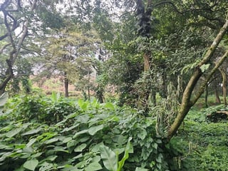 Venta de Terreno Premier Campestre, Km 23 Carr. El Salvador (B) - 4