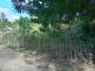 LOTE EN VENTA EN EL VALLE DEL MOTAGUA GUALAN ZACAPA - 5