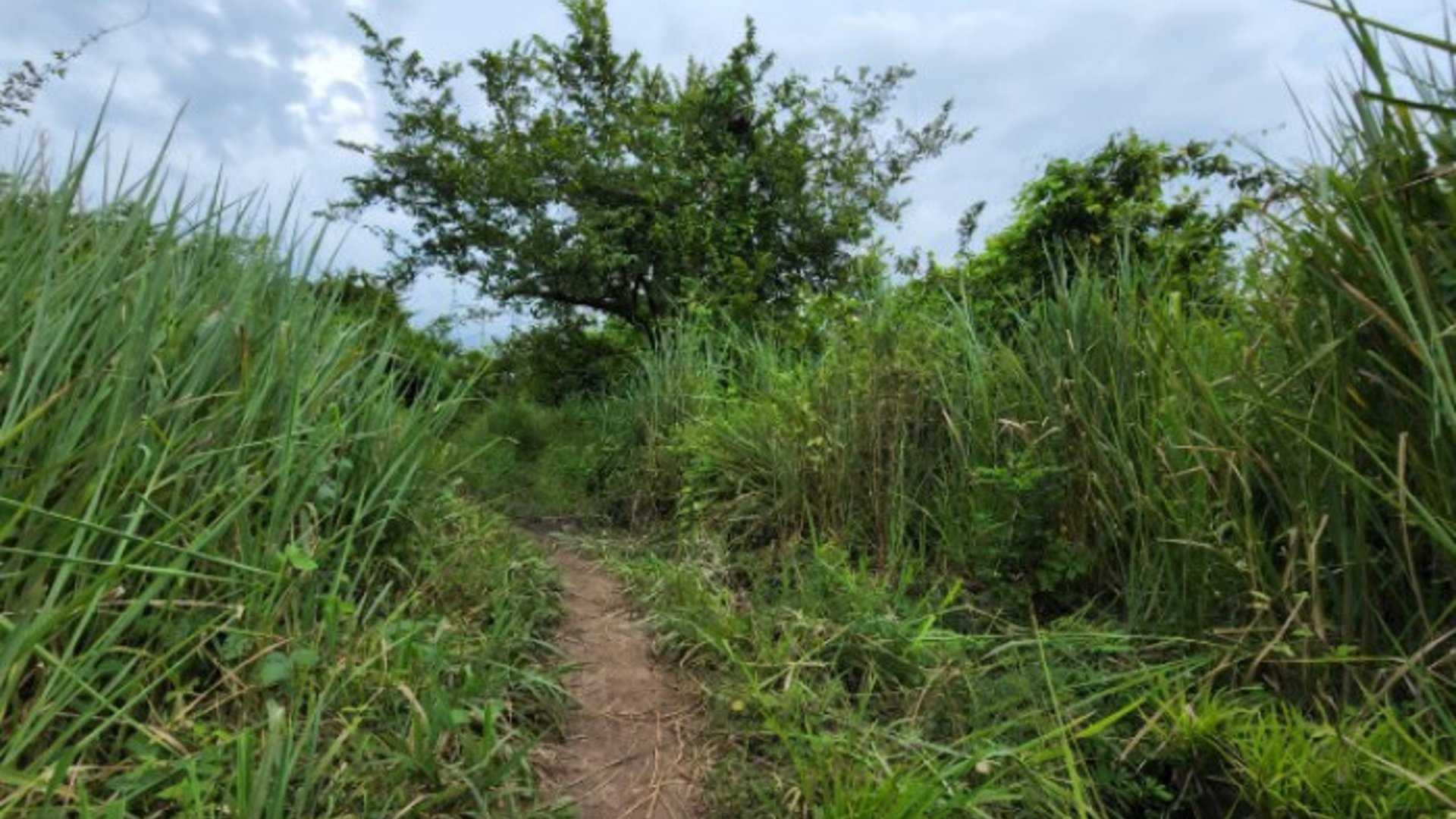 Terreno en Venta Quintas Malibú, Escuintla, Guatemala - Miniatura 2