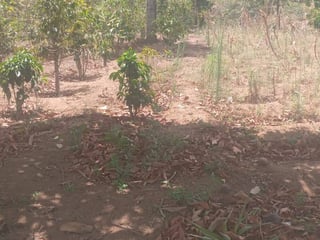 Terreno en venta en Paraje Pasos de Ganado, Ciudad Vieja, Sacatepequez - 2