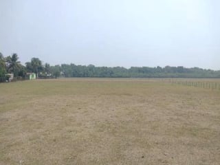 Terreno en Venta - Renta Iztapa, Escuintla  - 3
