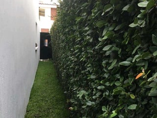 Casa en venta de 3 dormitorios en Condominio Cantabria, Zona 16 - Image 6