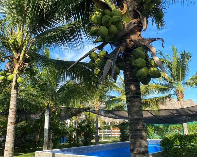 Casa En Venta en Monterrico EL PUMPO