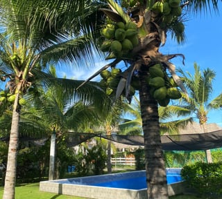 Casa En Venta en Monterrico EL PUMPO