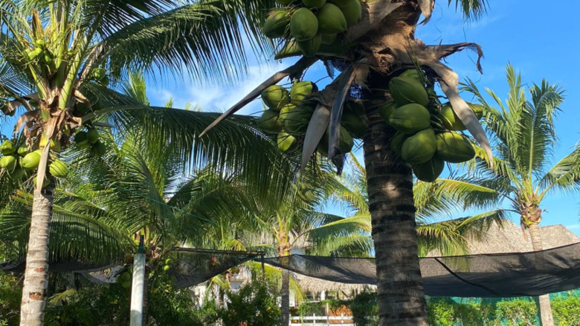 Casa En Venta en Monterrico EL PUMPO