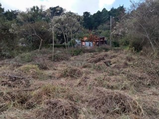 Terreno en Venta Granjas Praderas del Bambú - 5