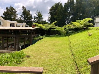 JARDIN PARA EVENTOS EN RENTA EN KM 19.5 CAES - Image 13