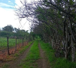 Terreno en Venta totalmente plano en El Progreso Jutiapa (Cantón Las Flores)