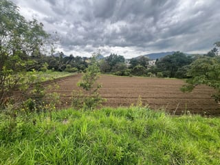 Finca en Venta de 8 Cuerdas en Quetzaltenango - 4