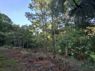Exclusivo Terreno en zona 16 el Pulte Guatemala - 2