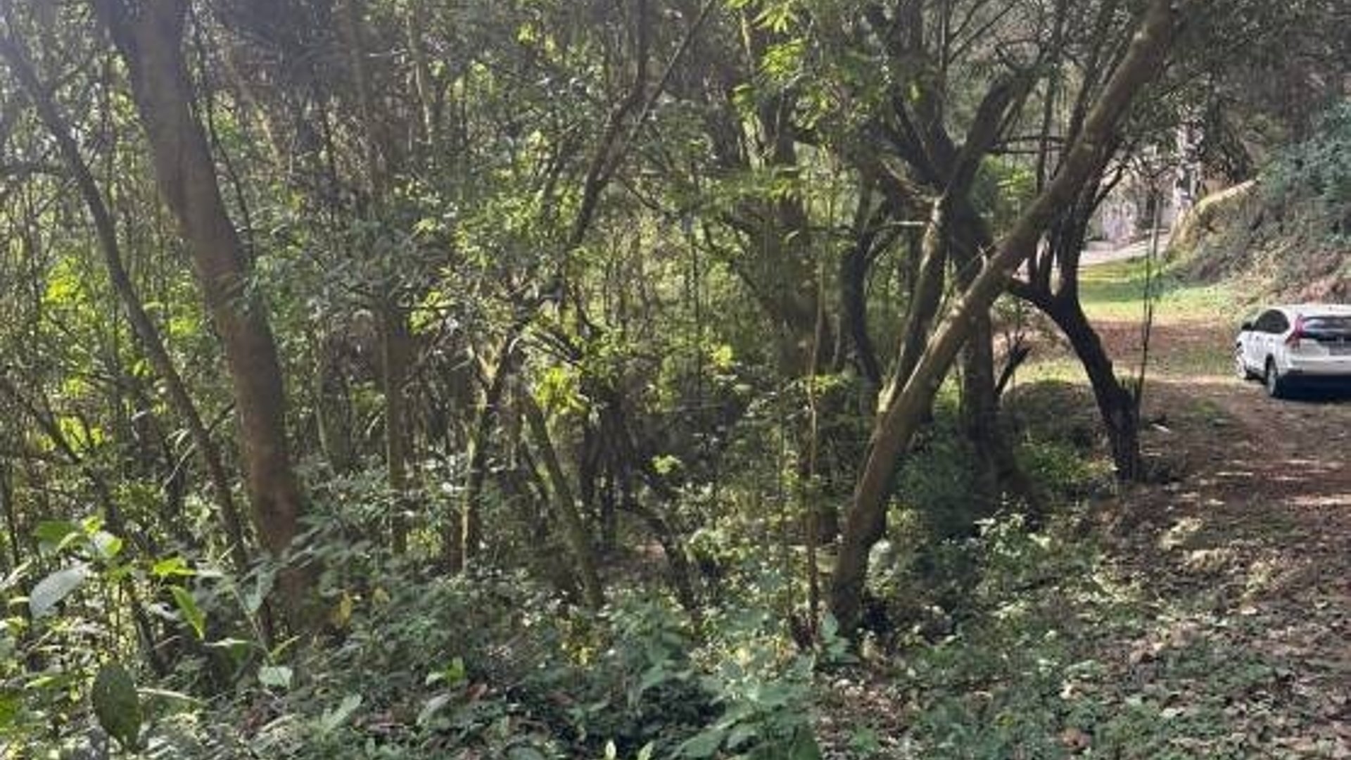 Terreno en Venta, Mixco (V9991) - Miniatura 5