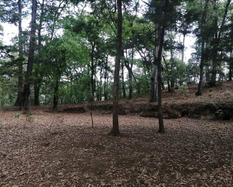 Terreno en Venta en San Lucas Saquetepéquez 2.18 manzanas