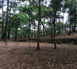 Terreno en Venta en San Lucas Saquetepéquez 2.18 manzanas