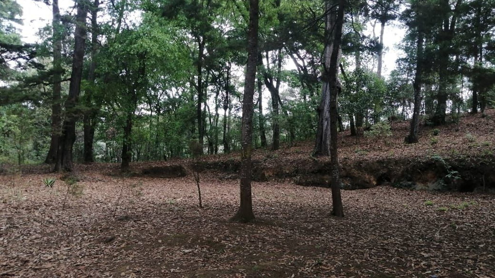 Terreno en Venta en San Lucas Saquetepéquez 2.18 manzanas
