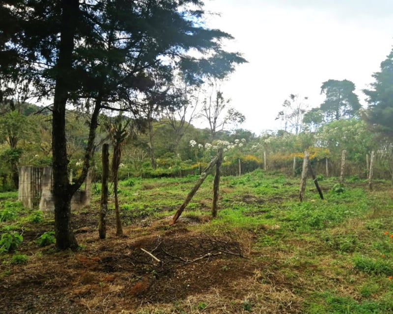 TERRENO RESIDENCIAL EN VENTA EN VILLA CANALES