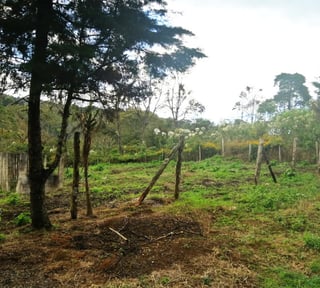 TERRENO RESIDENCIAL EN VENTA EN VILLA CANALES