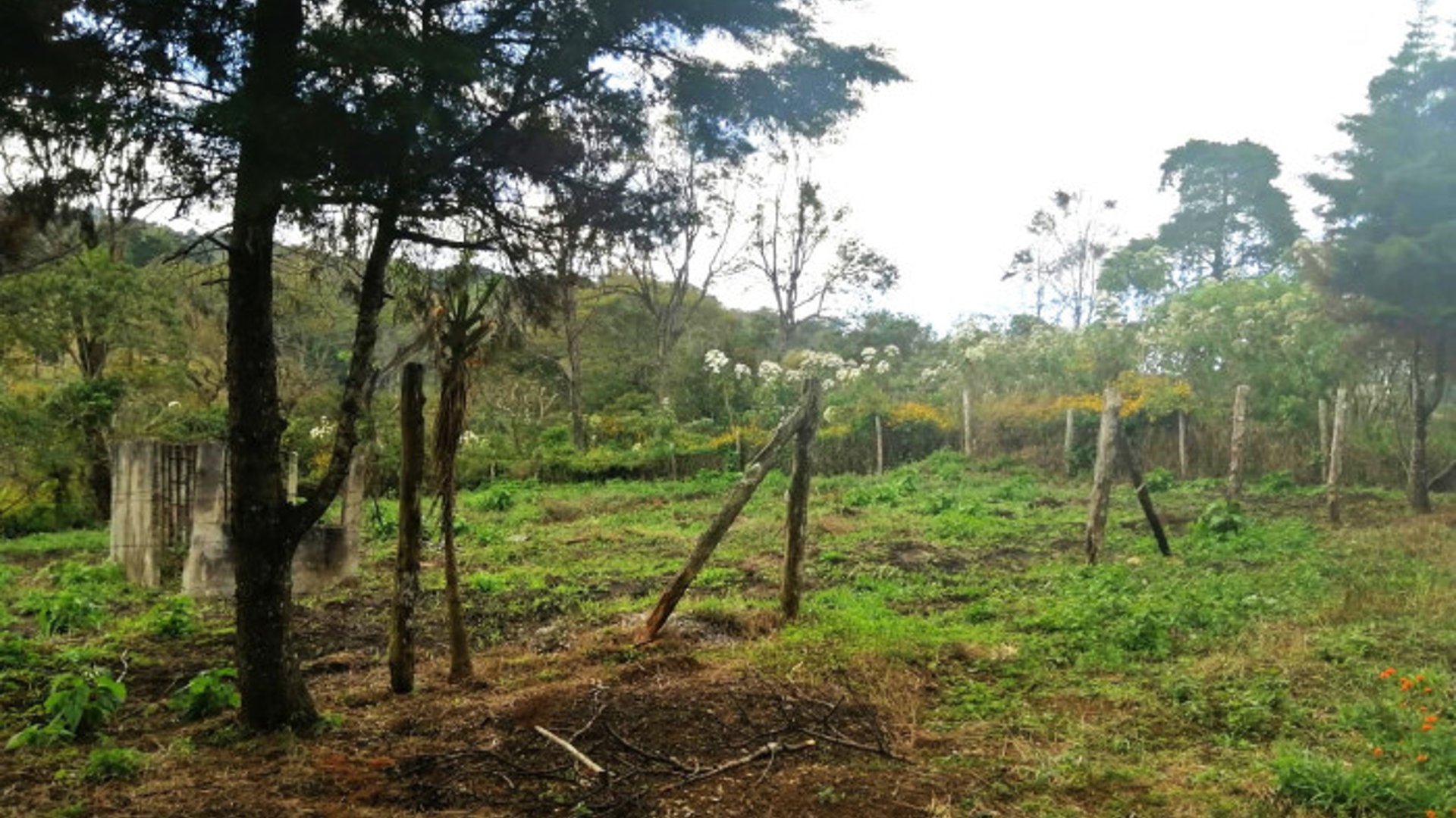 TERRENO RESIDENCIAL EN VENTA EN VILLA CANALES