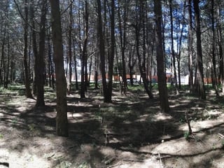 ESPECIAL Terreno en venta CAES Premier Campestre km 22 - 3