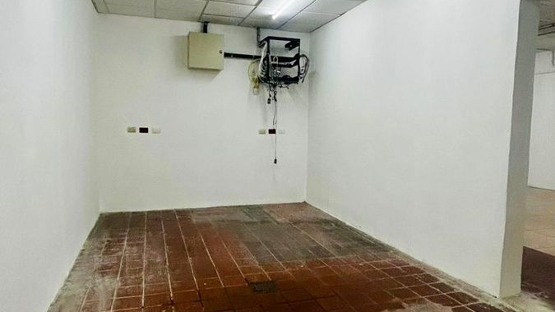 Local con bodega en renta zona 7 / El Trébol - Miniatura 4