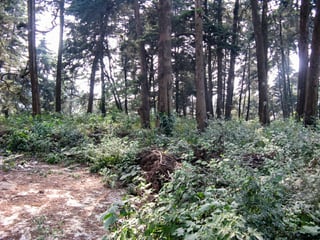 Terreno en venta, km 13.5 Carretera a El Salvador - 3