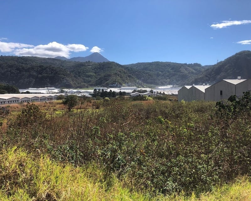 Terreno en Alquiler / Venta -CA-9 Sur, Palín, Escuintla