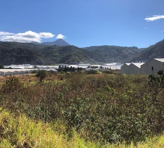 Terreno en Alquiler / Venta -CA-9 Sur, Palín, Escuintla