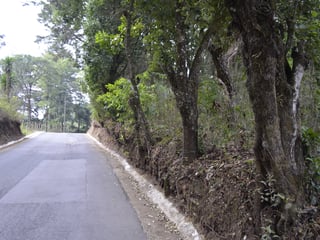 Terreno en venta, en Fraijanes - 3