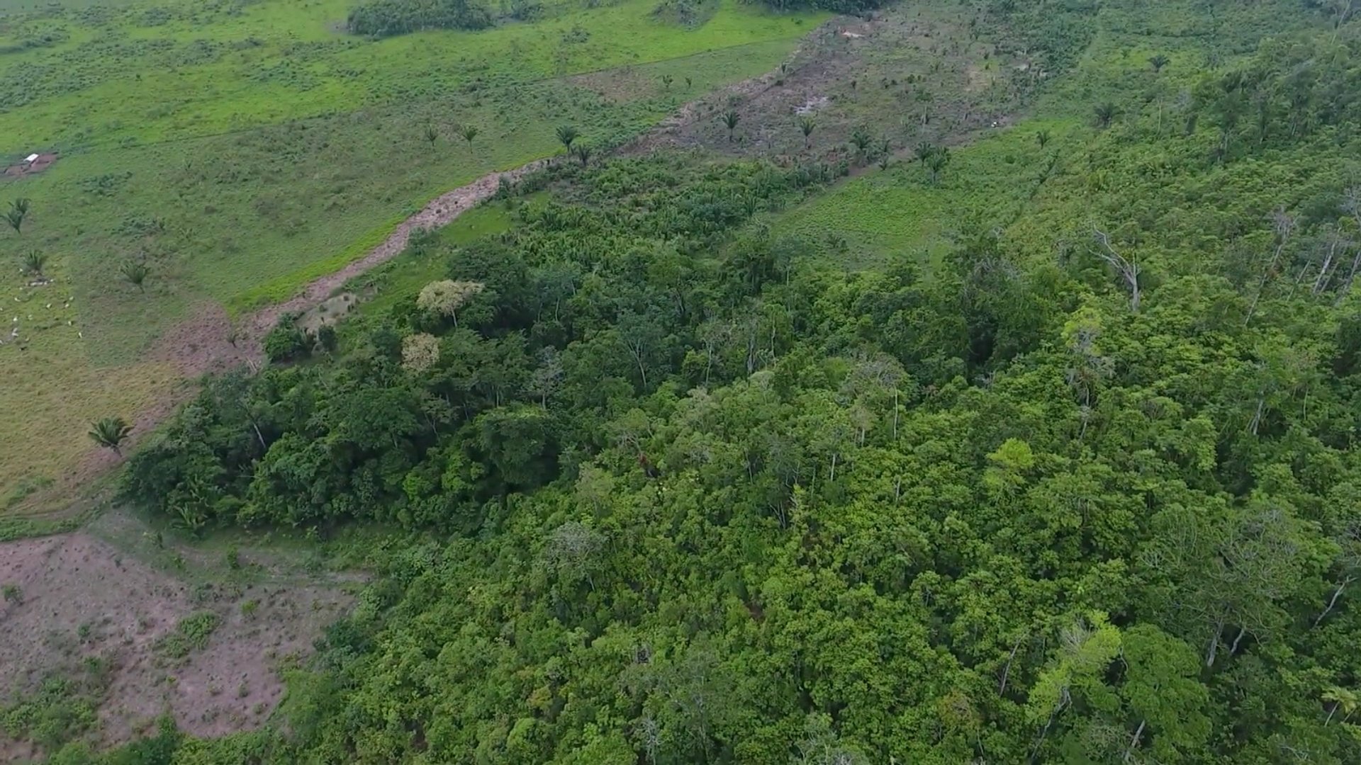 FINCA EN VENTA EN ALTA VERAPAZ - Miniatura 7