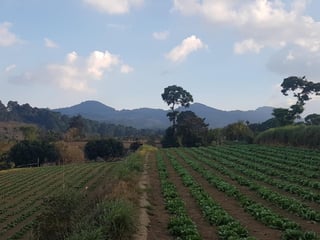 Venta de Terreno Rustico en Sacatepéquez - 2