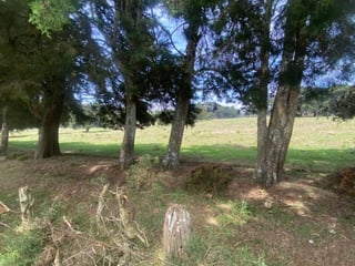 venta de terreno en carretera a el salvador - 4