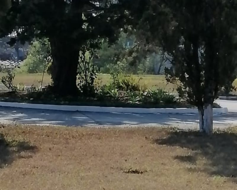 Terreno en Venta Cementerio Jardín Los Olivos, CES