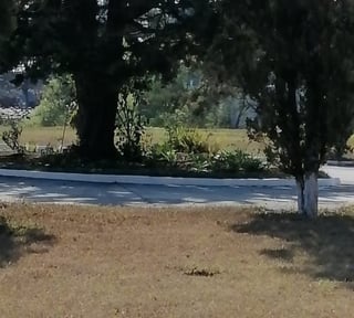 Terreno en Venta Cementerio Jardín Los Olivos, CES