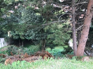 Terreno en Venta Bosques de las Luces - 3