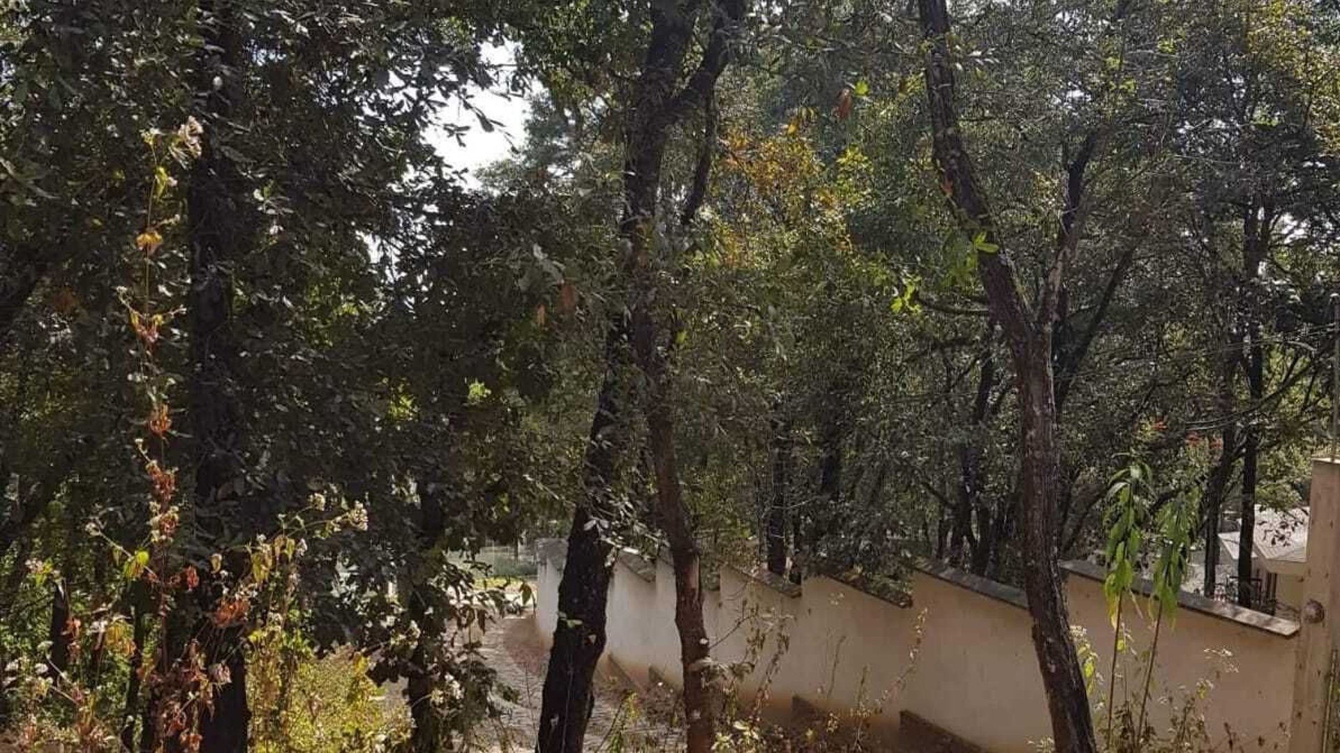 EL ENCINAL/ TERRENO EN VENTA - Miniatura 2