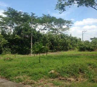 Terreno en VENTA en  Km 79 Autopista Puerto Quetzal
