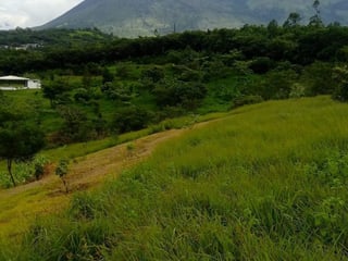 Terreno en VENTA en  Km. 46.5 Villa Canales, - Image 1