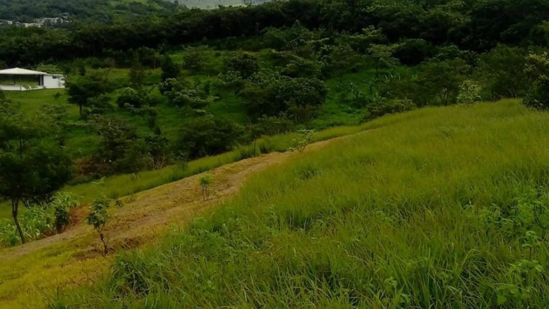 Terreno en VENTA en  Km. 46.5 Villa Canales,